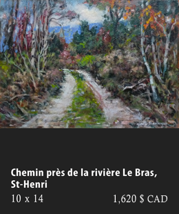 Chemin prs de la rivire Le Bras, Saint-Henri