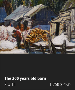 The 200 years old barn