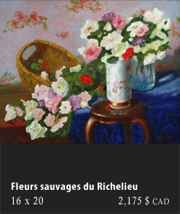 Fleurs sauvages du Richelieu